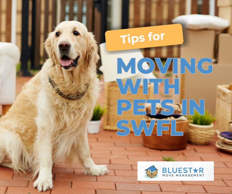 Moving with Pets in SWFL: Tips for a Stress Free Transition